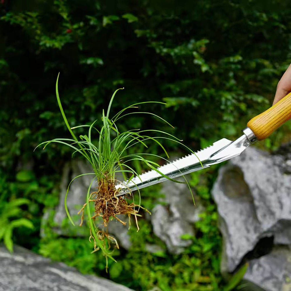 Stainless Steel Weed Removal T - đánh giá và giá Garden Tools